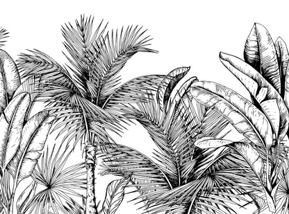 Black and white tropical trees