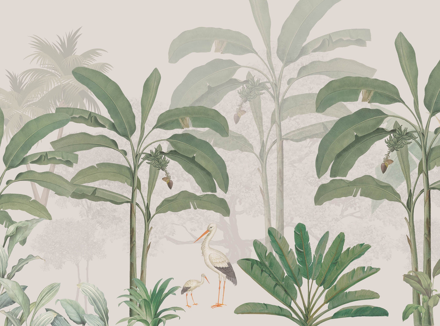 Storks in the jungle